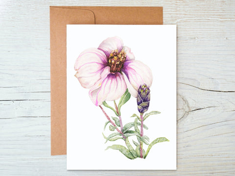 Desert Zinnia Card