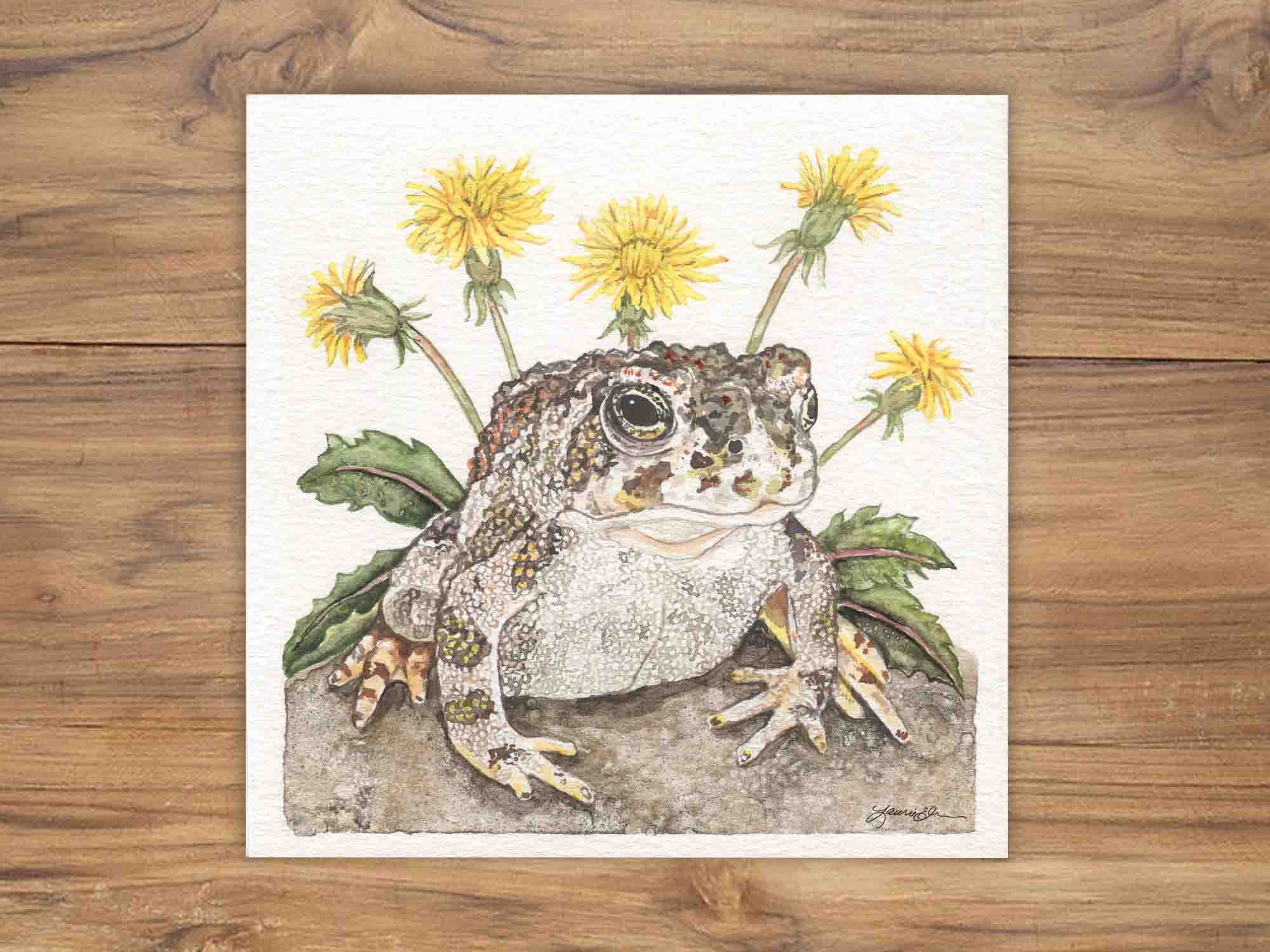 Great Plains Toad Illustration