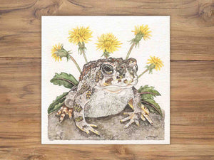 Great Plains Toad Illustration