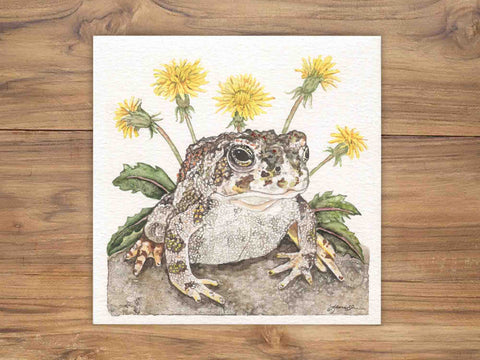 Great Plains Toad Illustration