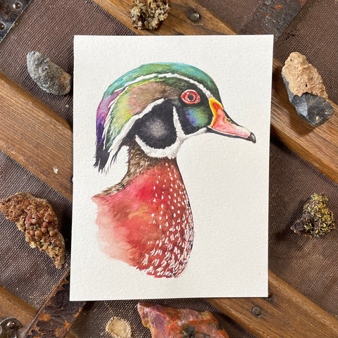 Wood Duck Portrait