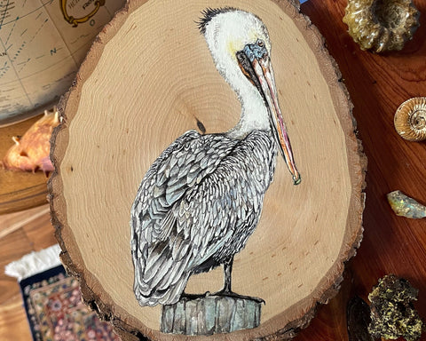 Brown Pelican Wood Slice