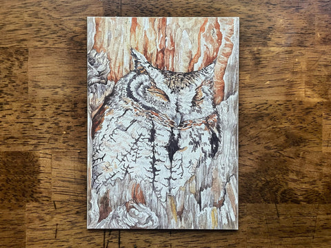 Watercolor Screech Owl