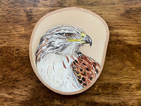 Ferruginous Hawk Mini Woodslice Painting