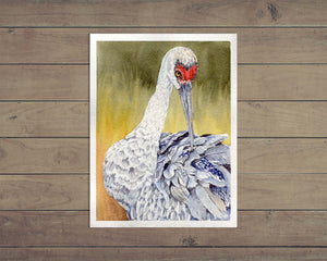 Sandhill Crane Painting