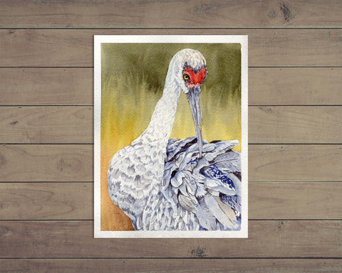 Sandhill Crane Painting