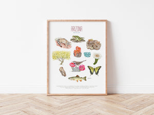 Arizona State Symbols Print