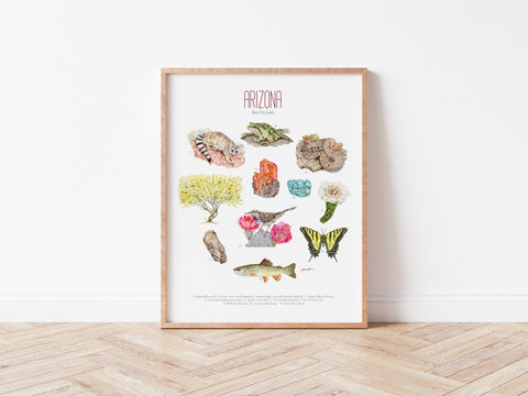 Arizona State Symbols Print