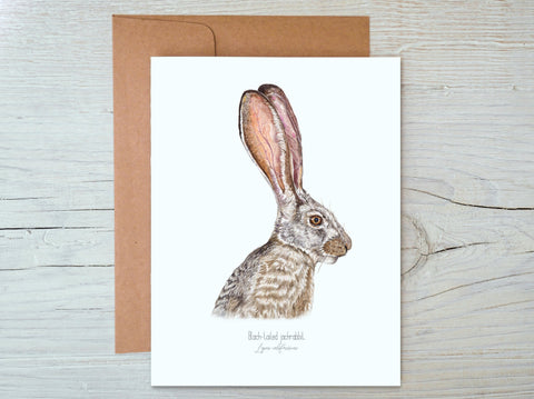 Black-tailed Jackrabbit Card