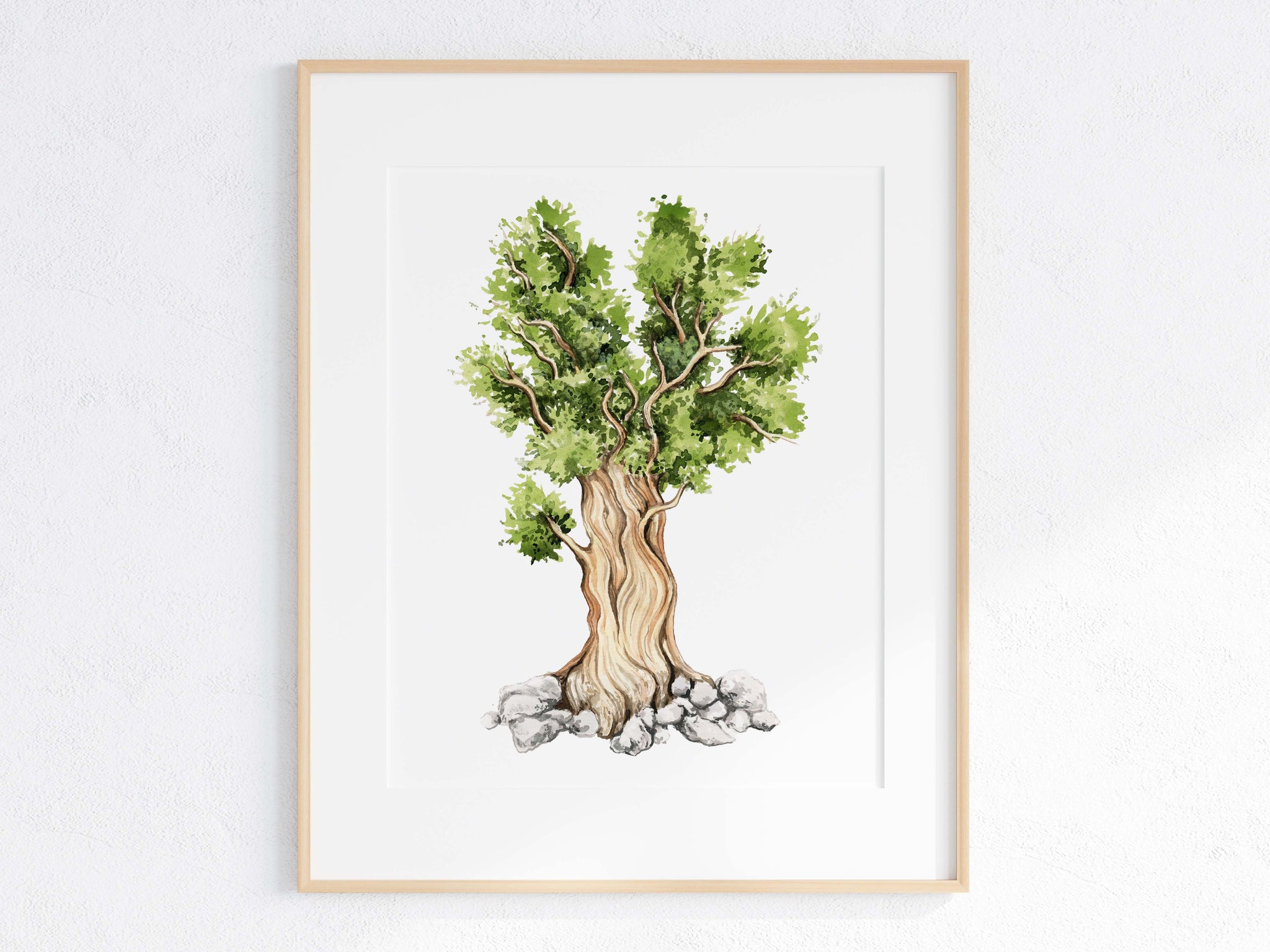 Bristlecone Pine Print