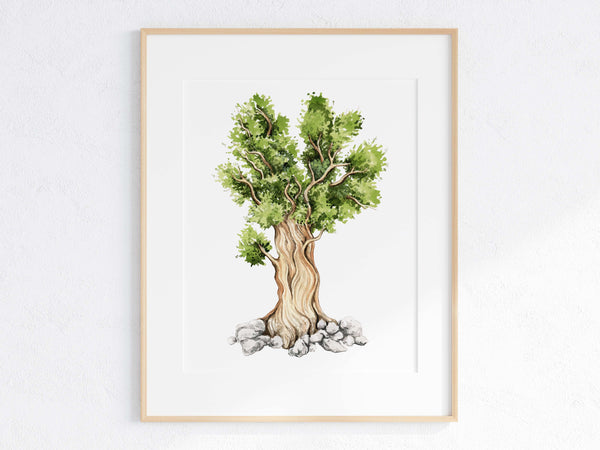Bristlecone Pine Print