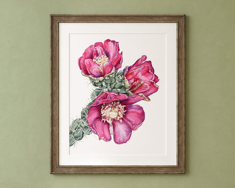 Watercolor Cholla Cactus flowers framed with a dark wood frame and green background. 