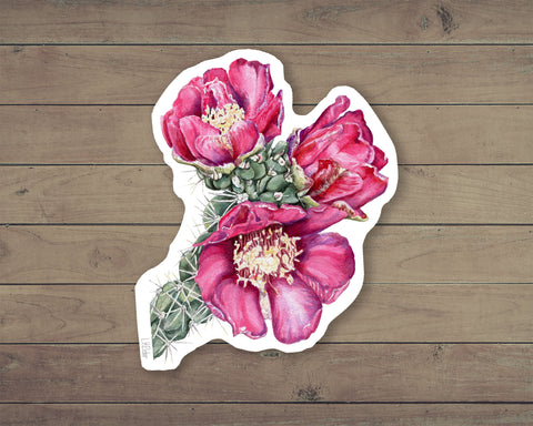Cholla Sticker