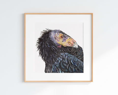 California Condor Print