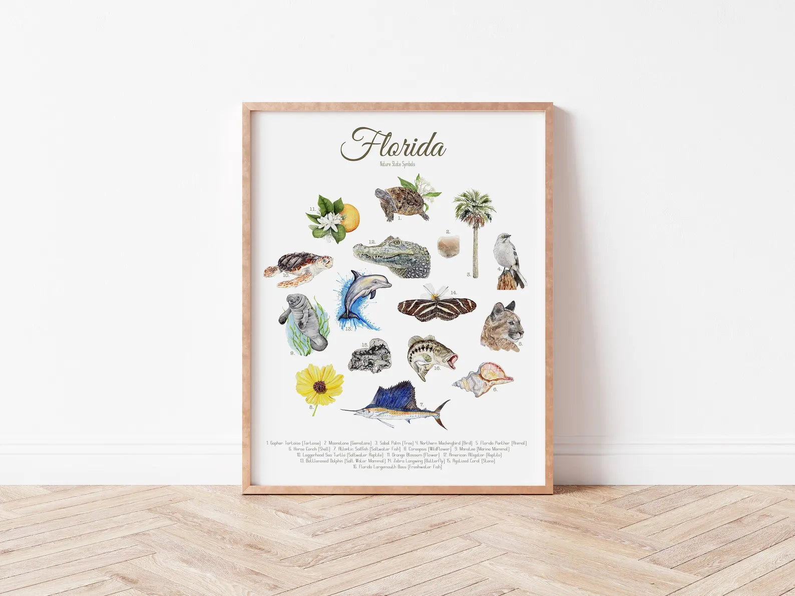 Florida State Symbols Print