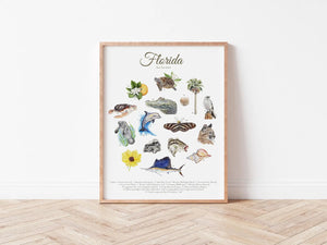 Florida State Symbols Print
