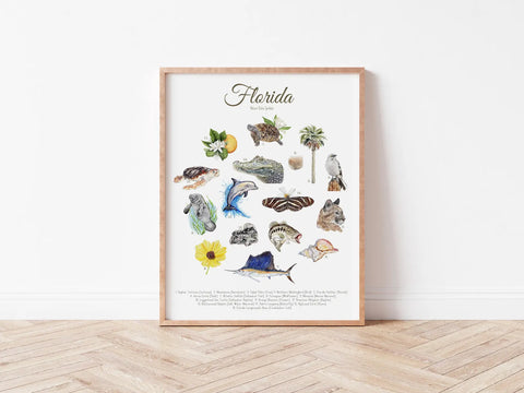 Florida State Symbols Print