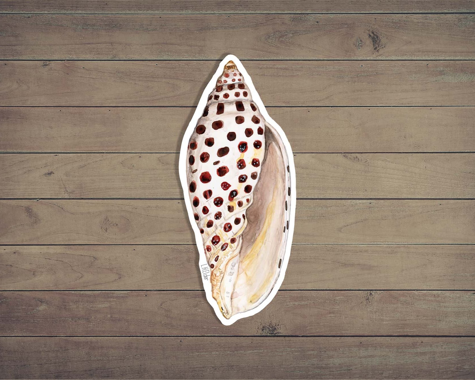 Johnstone's Junonia Shell Sticker