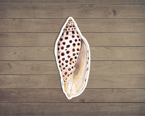 Johnstone's Junonia Shell Sticker