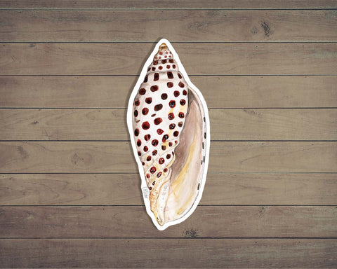 Johnstone's Junonia Shell Sticker