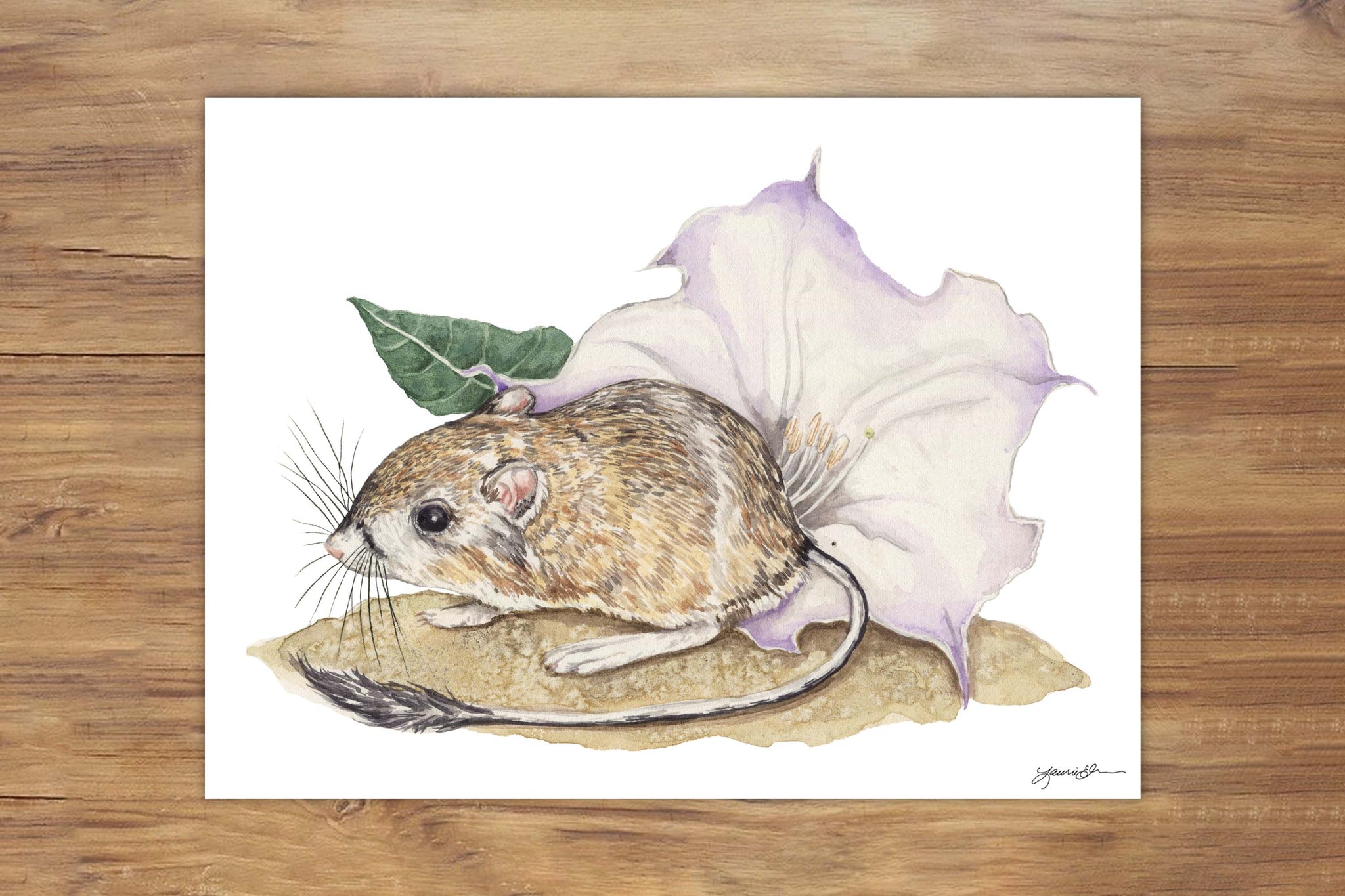 Kangaroo Rat and Datura Painting