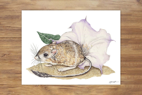 Kangaroo Rat and Datura Painting