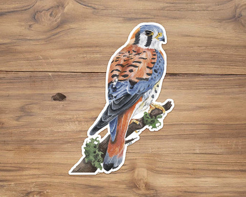 American Kestrel Sticker