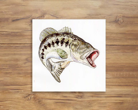 Largemouth Bass Watercolor Painting