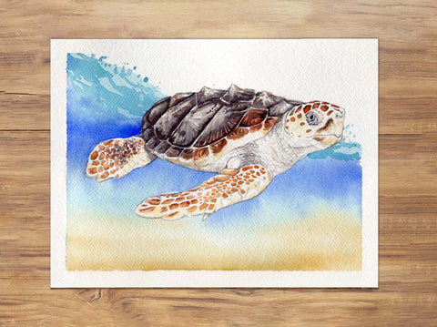Loggerhead Sea Turtle Painting