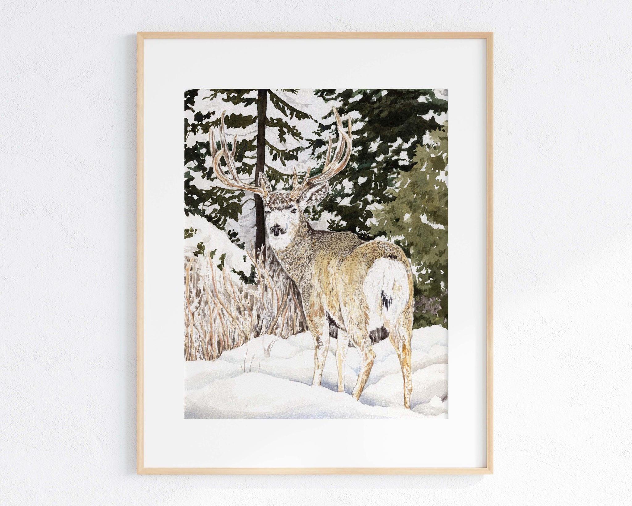 Winter Mule Deer Print