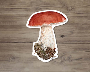 Porcini Sticker