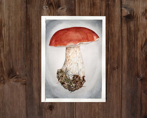 Watercolor Painting of A Porcini Mushroom. Mushroom is red, background is gray