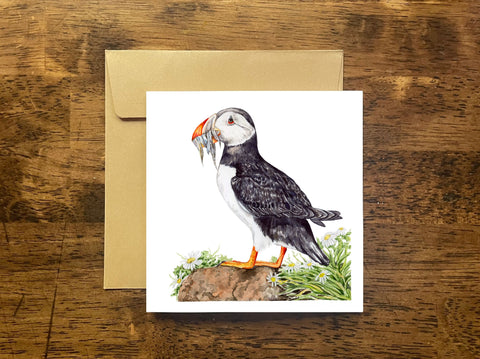 Atlantic Puffin Notecard