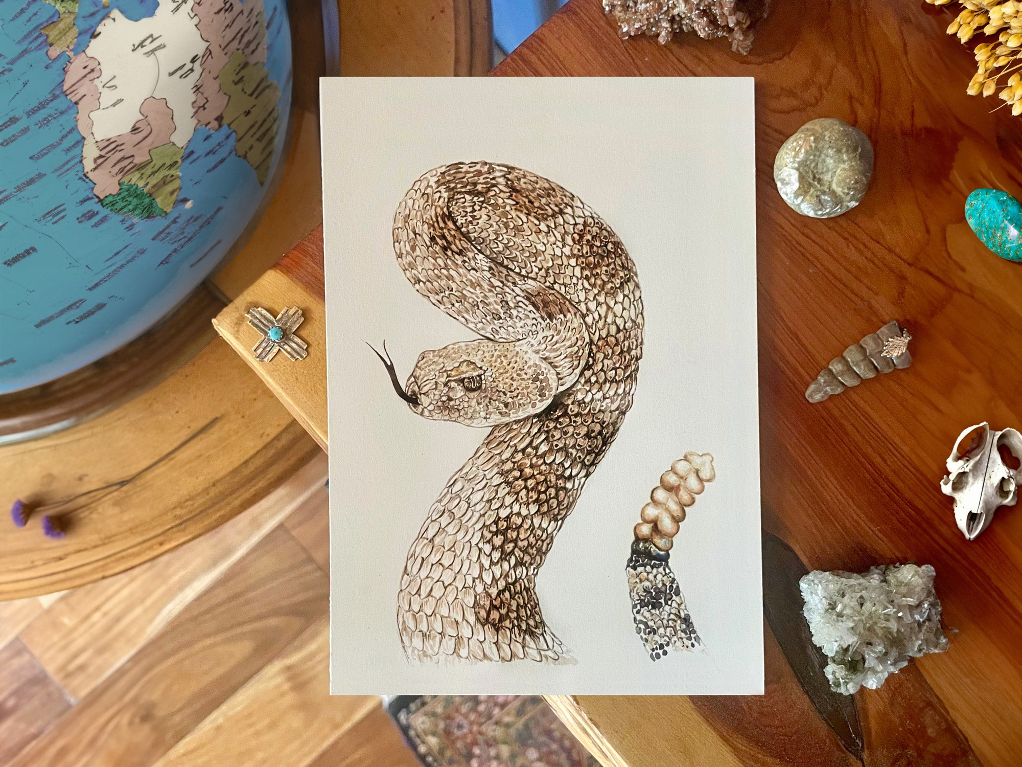 Western Diamondback Illustration