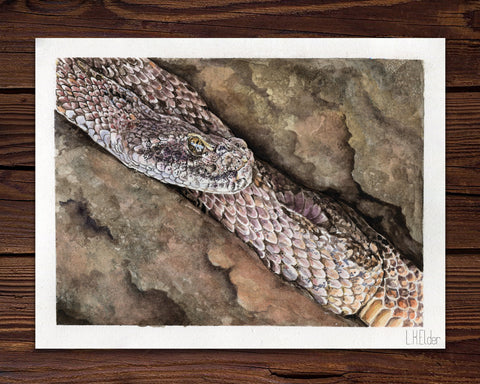 Prairie Rattlesnake painting with a wood background