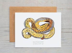 Prairie Ringneck Snake Card