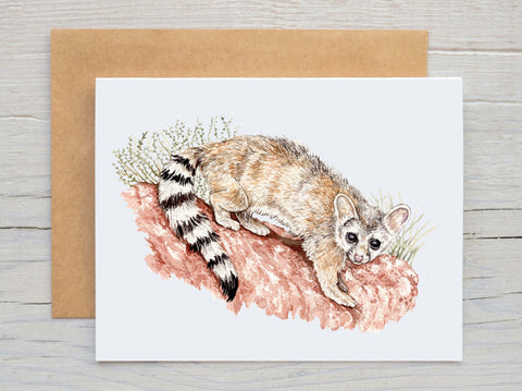 Ringtail Card