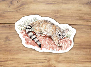 Ringtail Sticker
