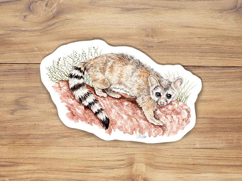 Ringtail Sticker