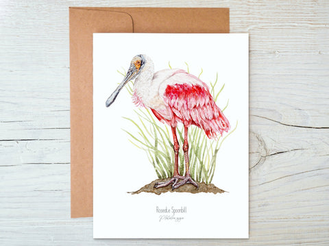 Roseate Spoonbill Card