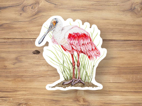 Roseate Spoonbill Sticker