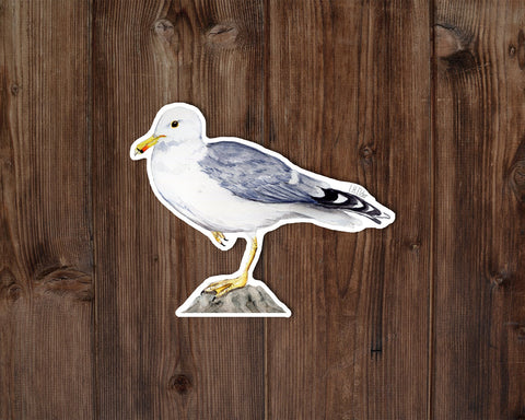 Seagull illustration on a wooden background