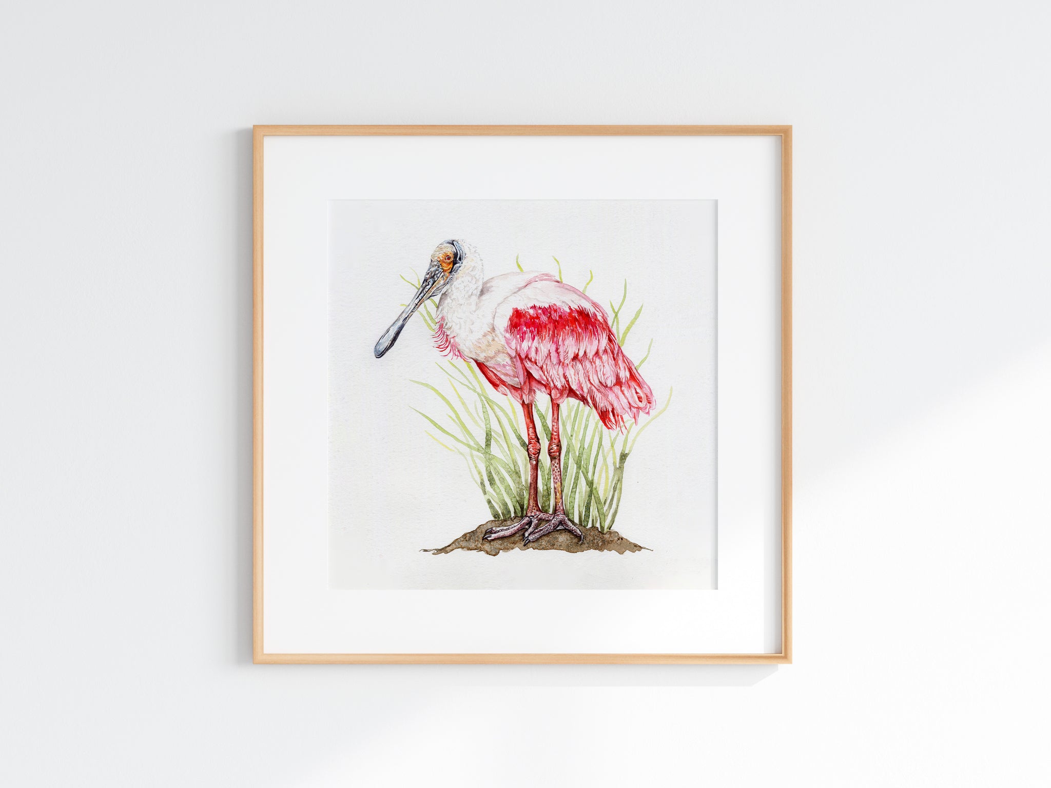 Roseate Spoonbill Print