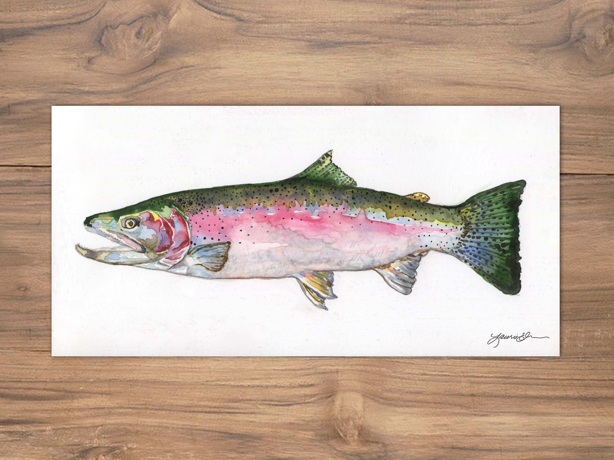 Steelhead Trout Illustration