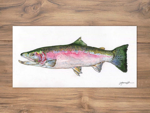 Steelhead Trout Illustration