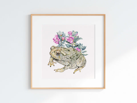 Texas Sage Toad