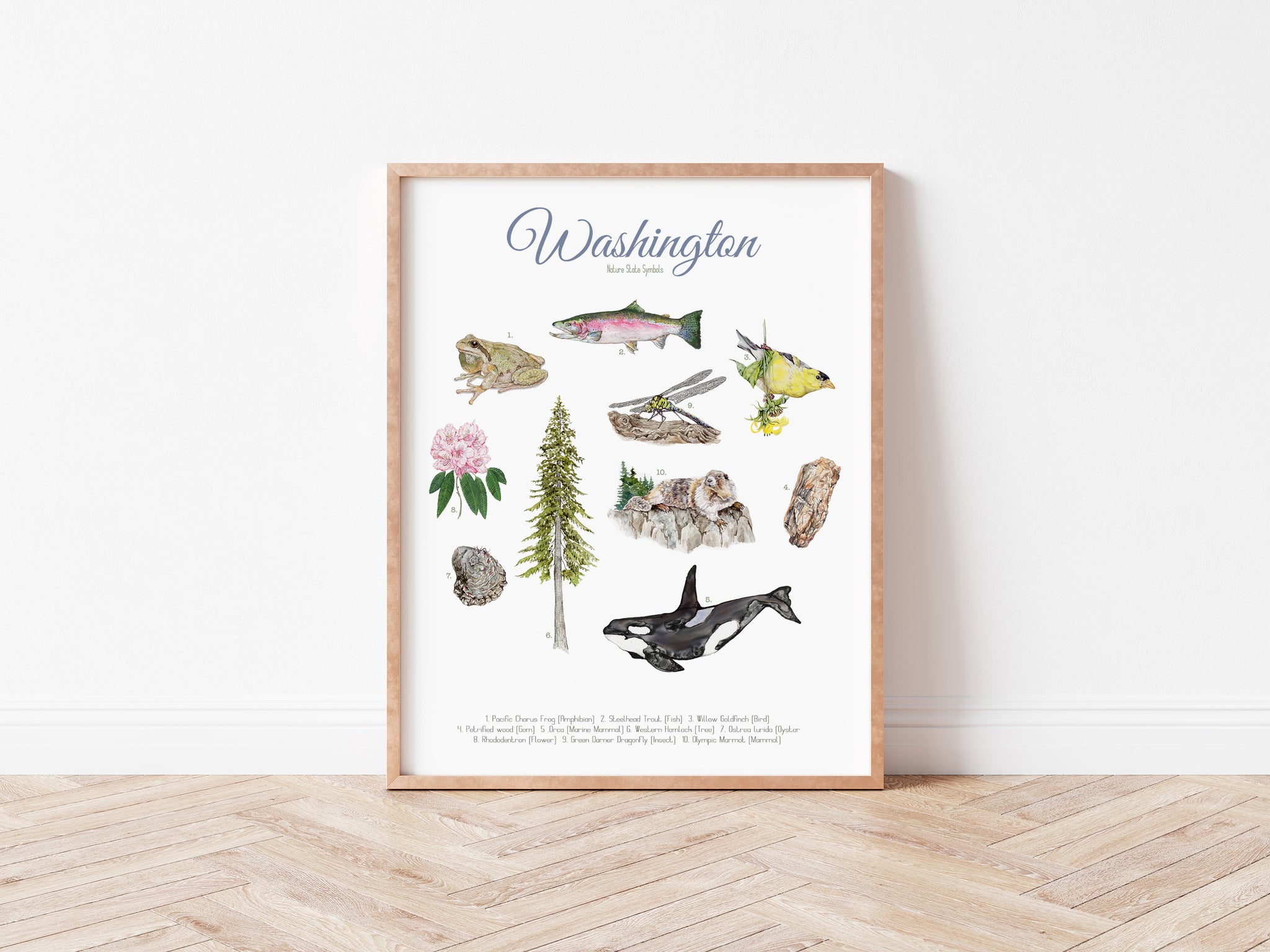Washington State Symbols Print