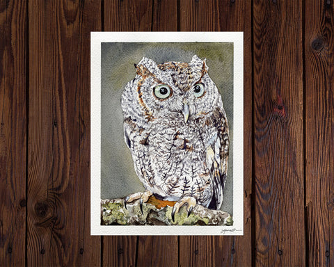 Western Screech Owl Painting