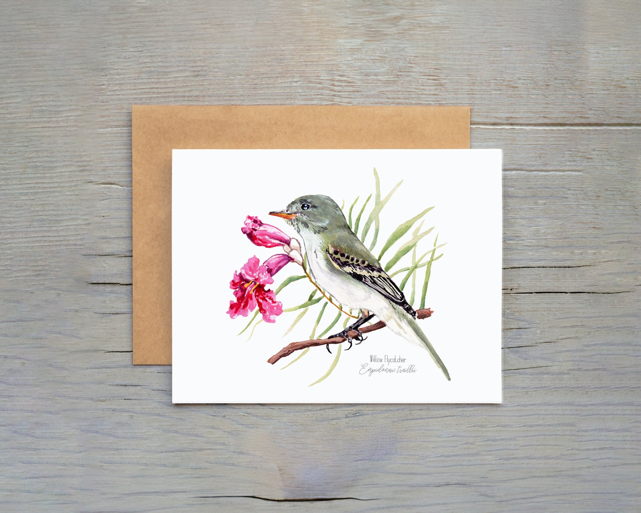 Willow Flycatcher Bird with desert willow blooms behind it, notecard on gray wooden surface