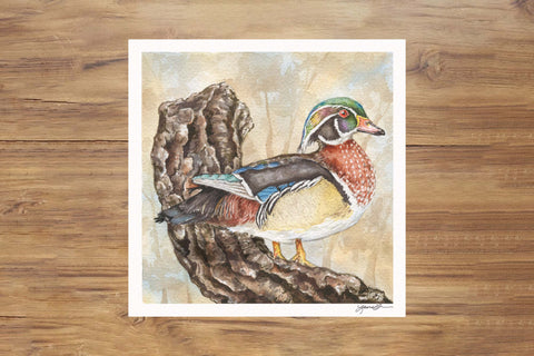 Wood Duck Watercolor